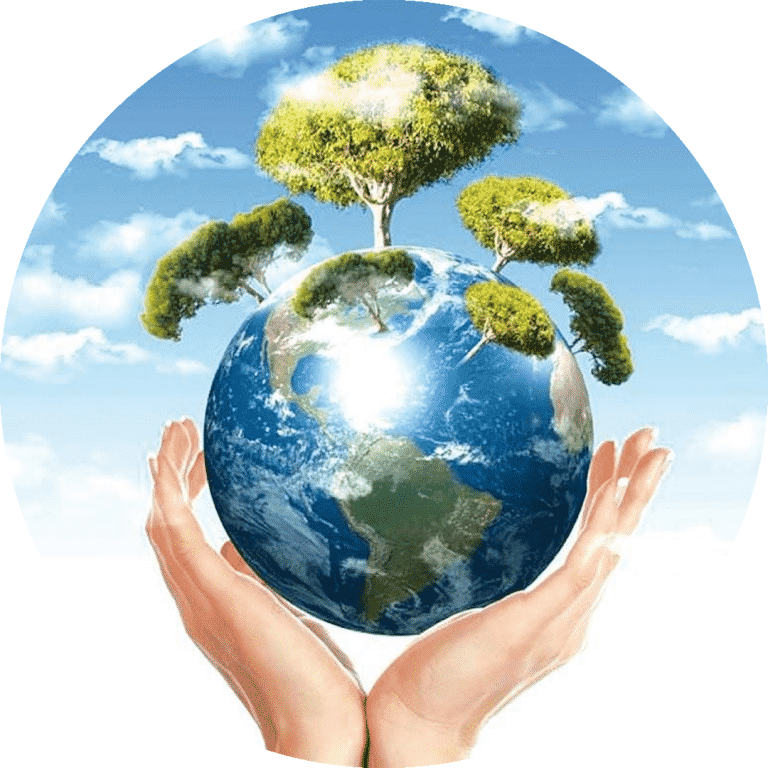 Sigdal, article des graines pour l'avenir de la planète