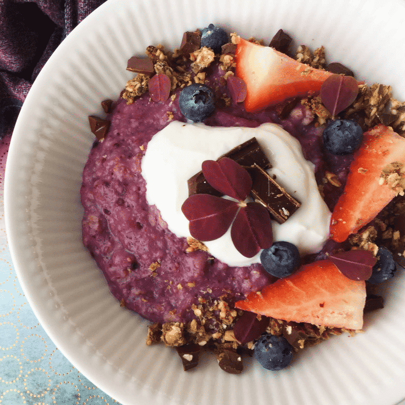 porridge aux baies forestières 800x800